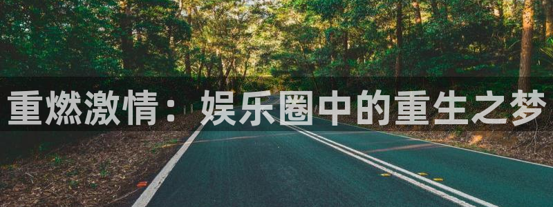 琳琅娱乐注册：重燃激情：娱乐圈中的重生之梦