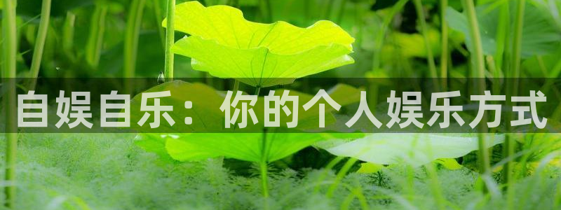 琳琅娱乐：自娱自乐：你的个人娱乐方式