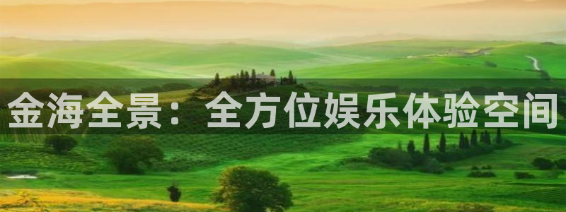 琳琅娱乐注册：金海全景：全方位娱乐体验空间