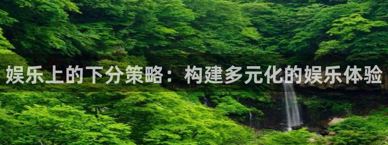 琳琅娱乐：娱乐上的下分策略：构建多元化的娱乐体验