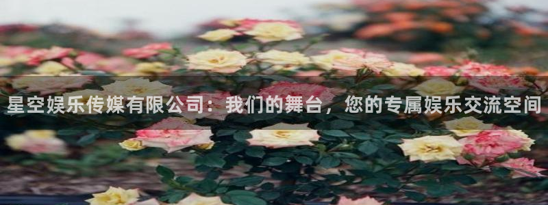 琳琅娱乐：星空娱乐传媒有限公司：我们的舞台，您的专属娱乐交流空间
