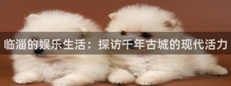 琳琅娱乐注册：临淄的娱乐生活：探访千年古城的现代活力