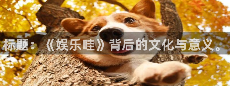 琳琅娱乐：标题：《娱乐哇》背后的文化与意义。