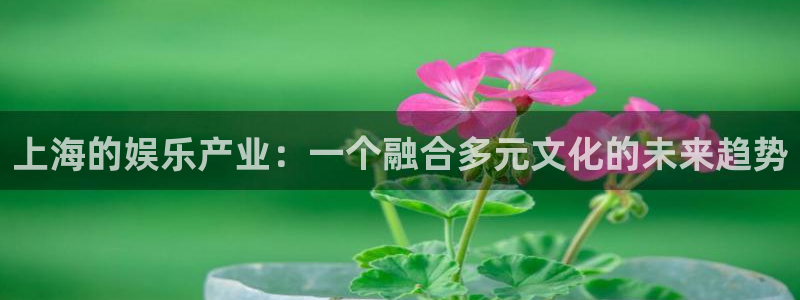 琳琅娱乐注册：上海的娱乐产业：一个融合多元文化的未来趋势