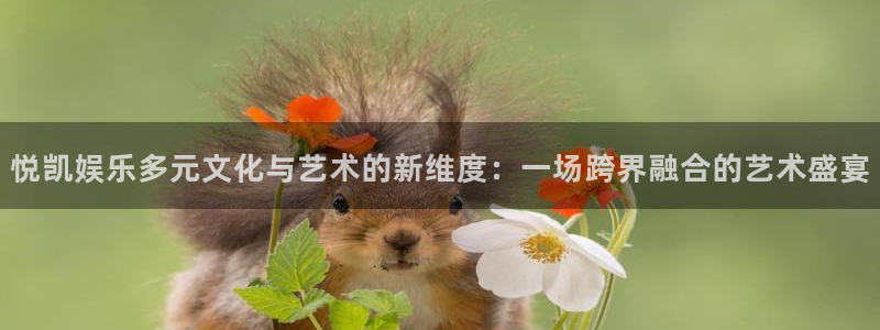 琳琅娱乐注册：悦凯娱乐多元文化与艺术的新维度：一场跨界融合的艺术盛宴