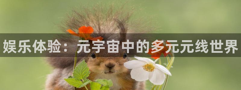 琳琅娱乐注册：娱乐体验：元宇宙中的多元元线世界
