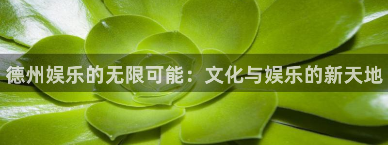 琳琅娱乐注册：德州娱乐的无限可能：文化与娱乐的新天地